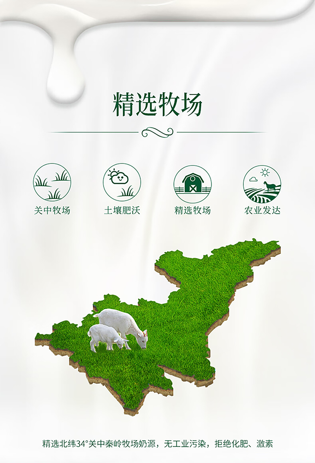 鄉(xiāng)村羊詳情頁(yè)_02.jpg