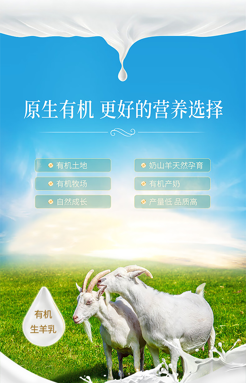 鄉(xiāng)村羊詳情頁(yè)_03.jpg